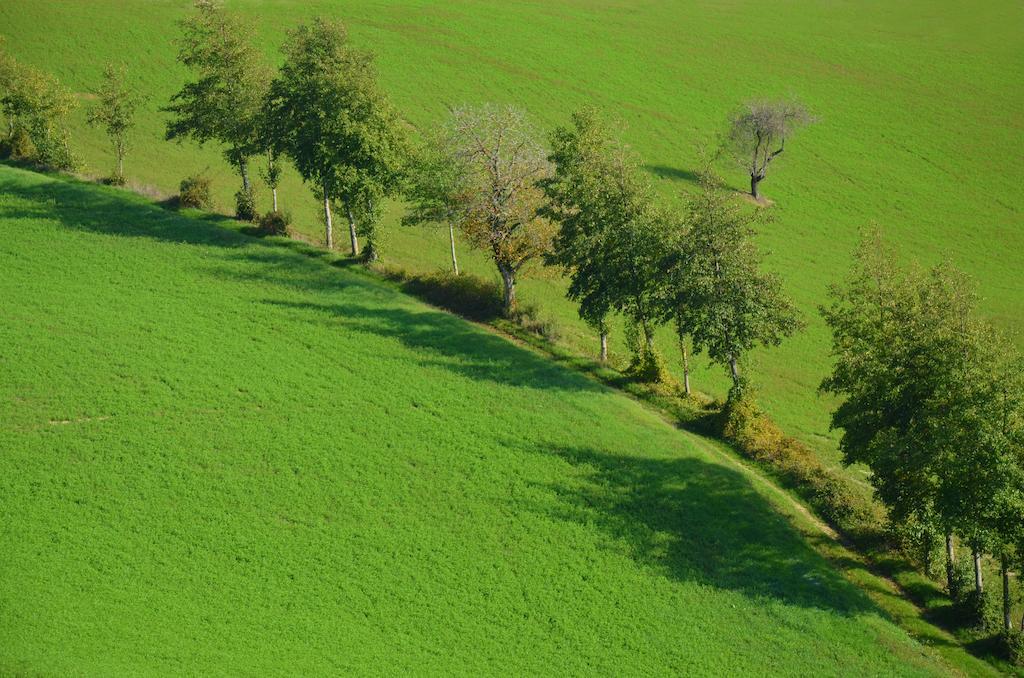 La Cerreta Hotel Rocca San Casciano Zewnętrze zdjęcie